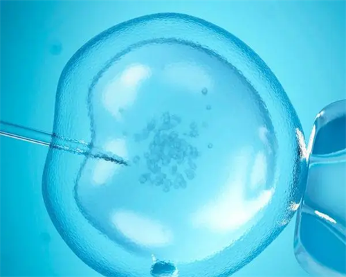 衡水哪家能做供卵试管婴儿？要排队多长时间？