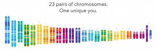 供卵试管咨询：解决代孕性别选择难题的有效途径