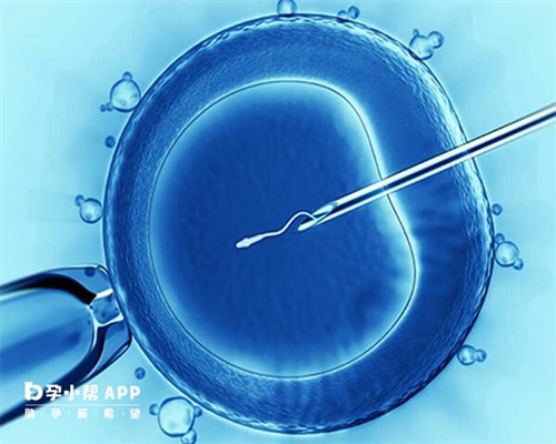 警惕非正规代生正规机构！如何快速识别正规医院资质？